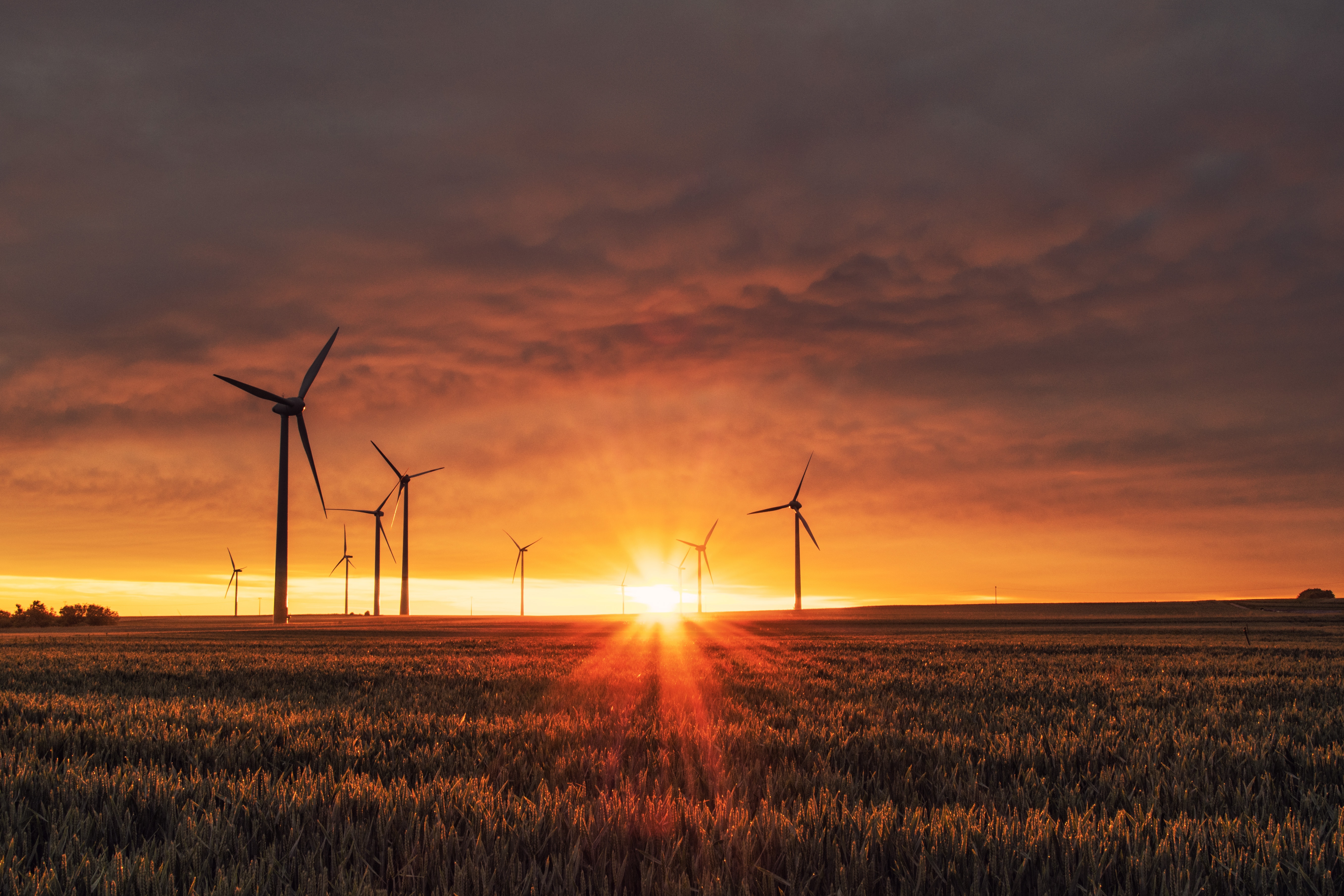 Wind generators in a field